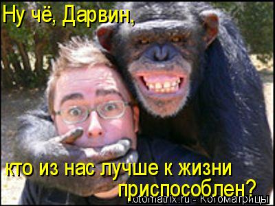 приспособлен? Ну чё, Дарвин, кто из нас лучше к жизни... Котоматрица: приспособлен? Ну чё, Дарвин, кто из нас лучше к жизни