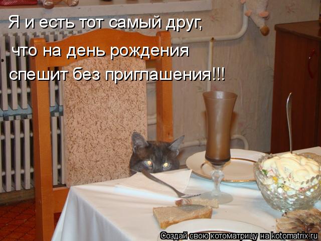 Я и есть тот самый друг, что на день рождения спешит без приглашения!!!... Котоматрица: Я и есть тот самый друг, что на день рождения спешит без приглашения!!!