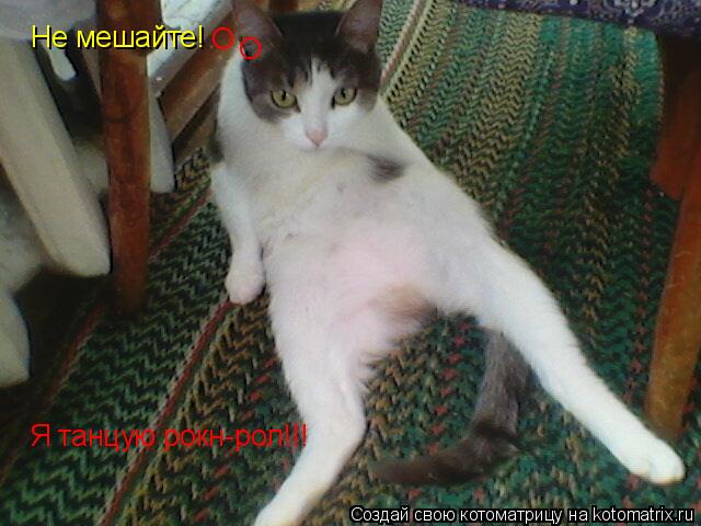 Котоматрица: Не мешайте! Я танцую рокн-рол!!! О О
