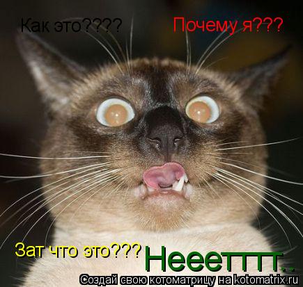 Котоматрица: Как это???? Почему я??? Зат что это??? Нееетттт..
