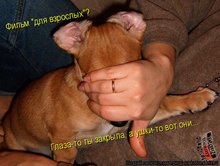 Котоматрица: Фильм "для взрослых"?  Глаза-то ты закрыла, а ушки-то вот они...