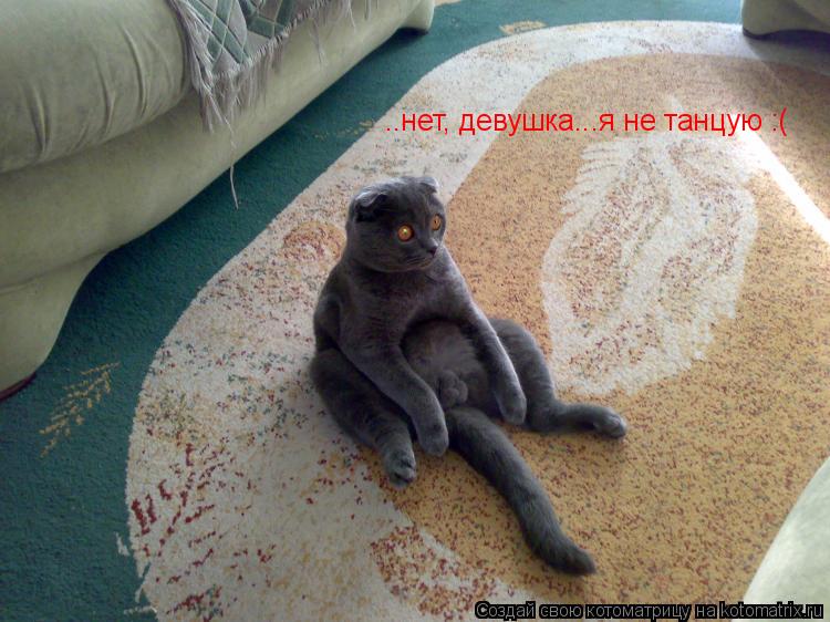 ..нет, девушка...я не танцую :(... Котоматрица: ..нет, девушка...я не танцую :(