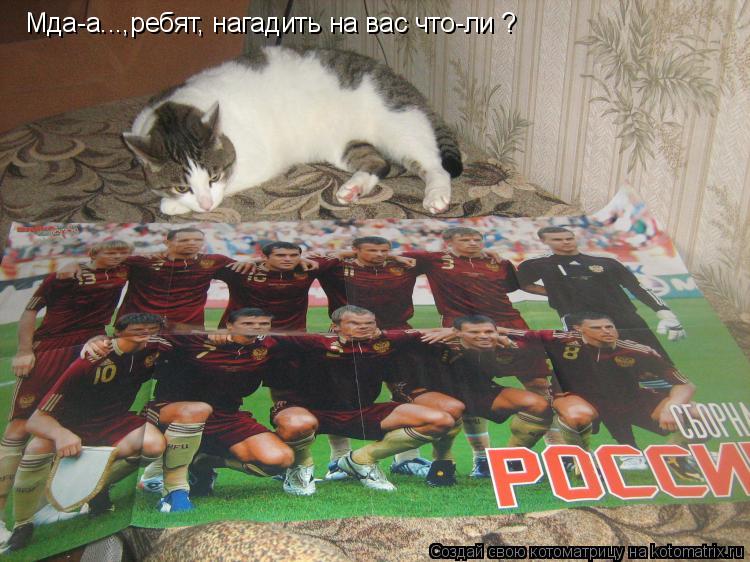 Мда-а...,ребят, нагадить на вас что-ли ?... Котоматрица: Мда-а...,ребят, нагадить на вас что-ли ?