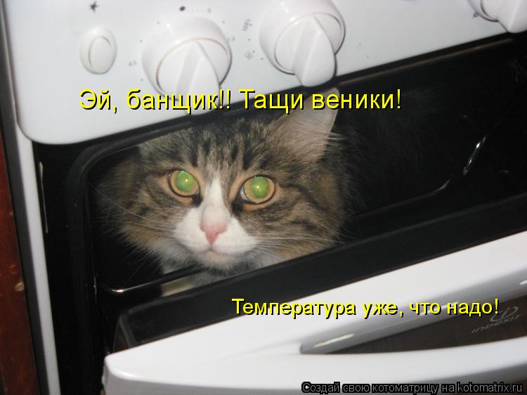 Котоматрица: Эй, банщик!! Тащи веники! Температура уже, что надо!