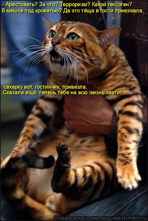 - Арестовать? За что? Терроризм? Какой гексоген? В мешке под кроватью? Да это тёща в гости приезжала... Котоматрица: - Арестовать? За что? Терроризм? Какой гексоген? В мешке под кроватью? Да это тёща в гости приезжала, сахарку вот, гостинчик, привезла. Сказал