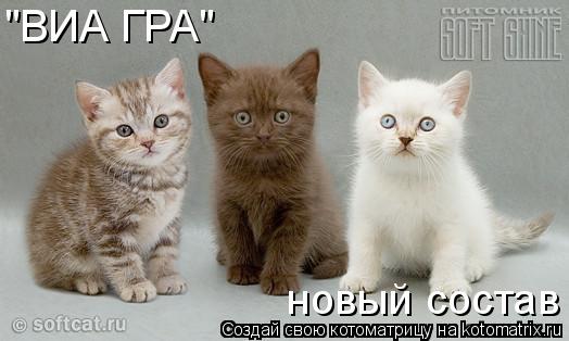 Котоматрица: "ВИА ГРА" новый состав