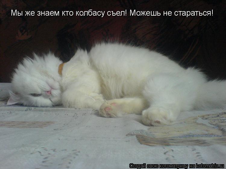 Мы же знаем кто колбасу съел! Можешь не стараться!... Котоматрица: Мы же знаем кто колбасу съел! Можешь не стараться!