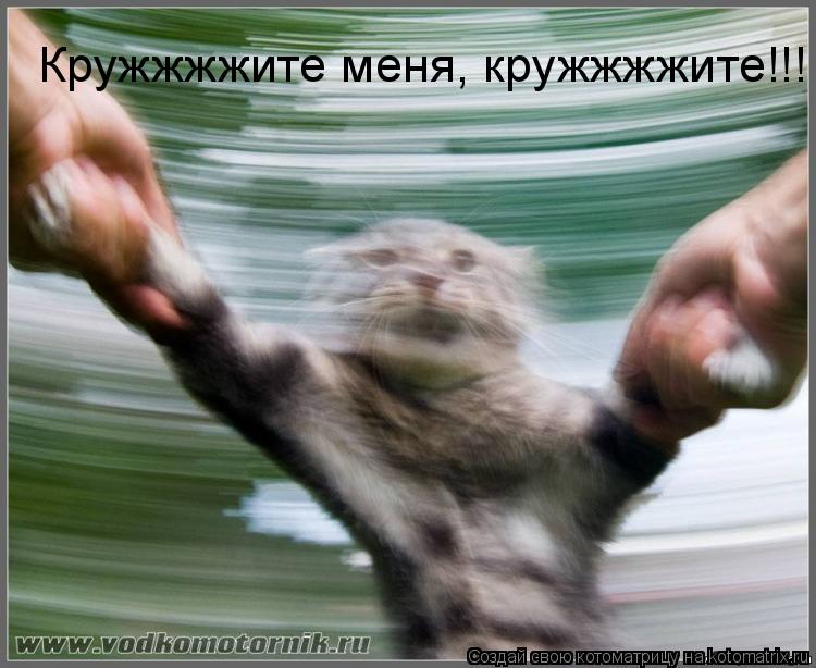 Кружжжжите меня, кружжжжите!!!... Котоматрица: Кружжжжите меня, кружжжжите!!!