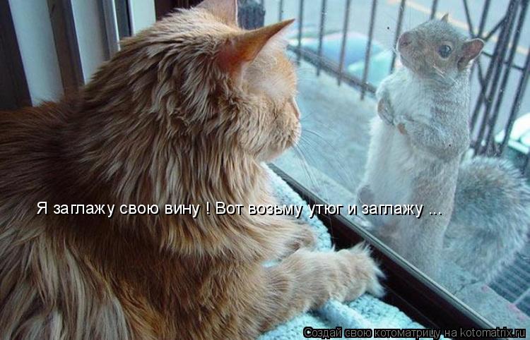 Котоматрица: Я заглажу свою вину ! Вот возьму утюг и заглажу ...