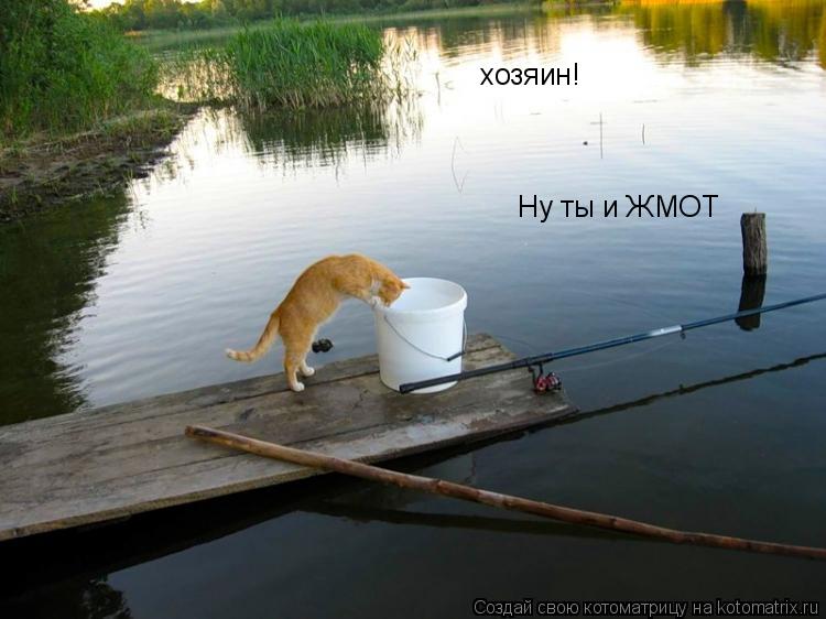 Котоматрица: хозяин!  хозяин!  Ну ты и ЖМОТ