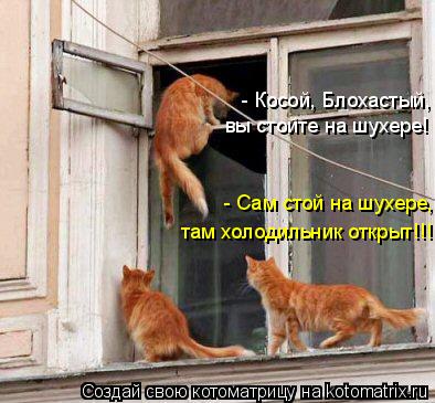 Котоматрица: - Косой, Блохастый, вы стойте на шухере! - Сам стой на шухере, там холодильник открыт!!!
