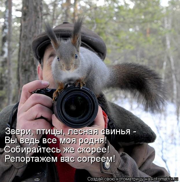 Котоматрица: Звери, птицы, лесная свинья - Вы ведь все моя родня! Собирайтесь же скорее! Репортажем вас согреем!