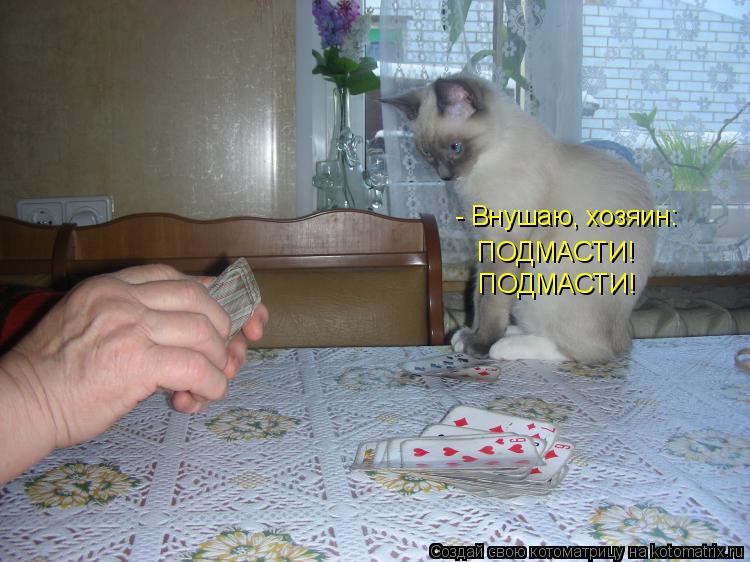 Котоматрица: - Внушаю, хозяин: ПОДМАСТИ! ПОДМАСТИ!