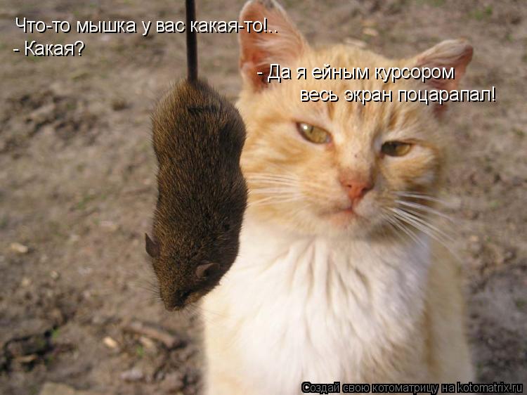 Что-то мышка у вас какая-то!.. - Какая? - Да я ейным курсором весь экран поцарапал!... Котоматрица: Что-то мышка у вас какая-то!.. - Какая? - Да я ейным курсором весь экран поцарапал!
