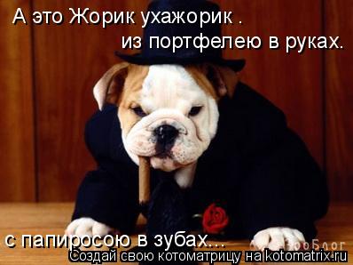 А это Жорик ухажорик . из портфелею в руках. с папиросою в зубах...... Котоматрица: А это Жорик ухажорик . из портфелею в руках. с папиросою в зубах...