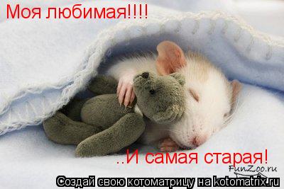 Моя любимая!!!! ..И самая старая!... Котоматрица: Моя любимая!!!! ..И самая старая!
