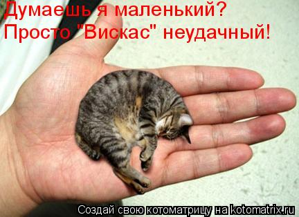 Думаешь я маленький? Просто "Вискас" неудачный!... Котоматрица: Думаешь я маленький? Просто "Вискас" неудачный!