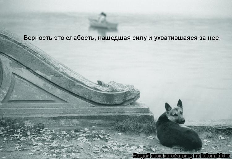 Верность это слабость, нашедшая силу и ухватившаяся за нее.... Котоматрица: Верность это слабость, нашедшая силу и ухватившаяся за нее.