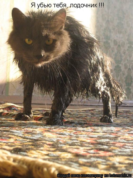 Я убью тебя, лодочник !!!... Котоматрица: Я убью тебя, лодочник !!!