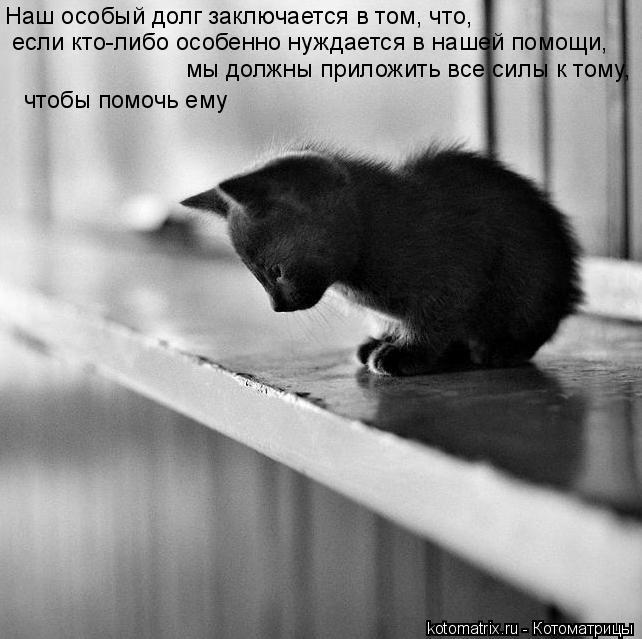 Наш особый долг заключается в том, что, если кто-либо особенно нуждается в нашей помощи, мы должны п... Котоматрица: Наш особый долг заключается в том, что, если кто-либо особенно нуждается в нашей помощи, мы должны приложить все силы к тому, чтобы помочь е