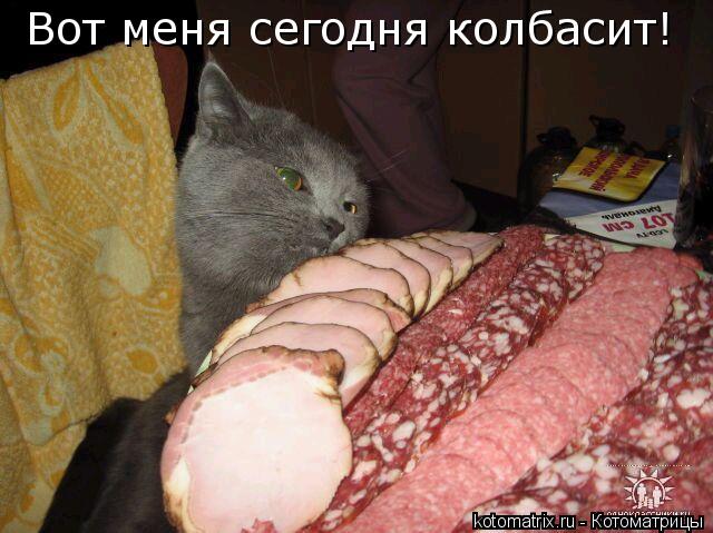 Котоматрица: Вот меня сегодня колбасит!