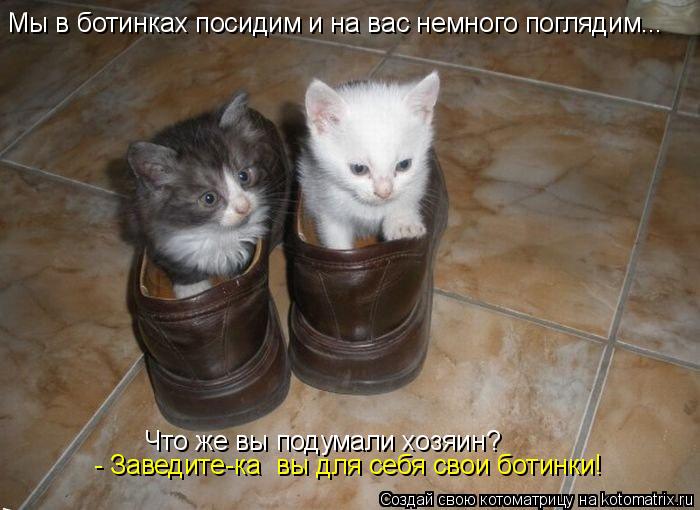 Мы в ботинках посидим и на вас немного поглядим... Что же вы подумали хозяин? - Заведите-ка вы для с... Котоматрица: Мы в ботинках посидим и на вас немного поглядим... Что же вы подумали хозяин? - Заведите-ка вы для себя свои ботинки!