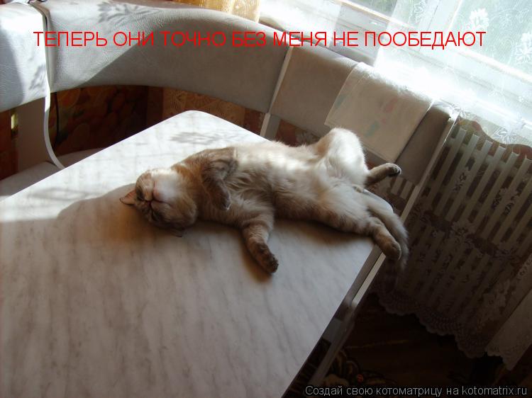 ТЕПЕРЬ ОНИ ТОЧНО БЕЗ МЕНЯ НЕ ПООБЕДАЮТ... Котоматрица: ТЕПЕРЬ ОНИ ТОЧНО БЕЗ МЕНЯ НЕ ПООБЕДАЮТ