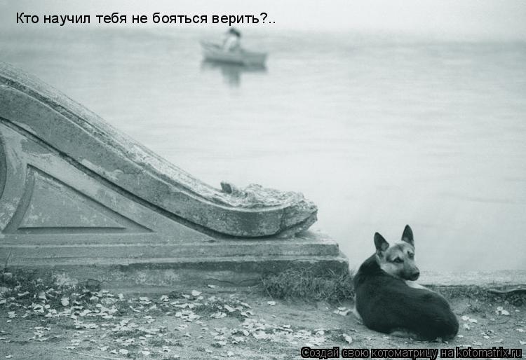 Кто научил тебя не бояться верить?..... Котоматрица: Кто научил тебя не бояться верить?..