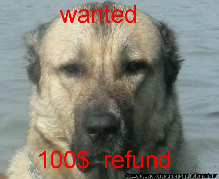Котоматрица: wanted 100$  refund
