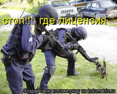 Котоматрица: стоп!!!  где лиценсия