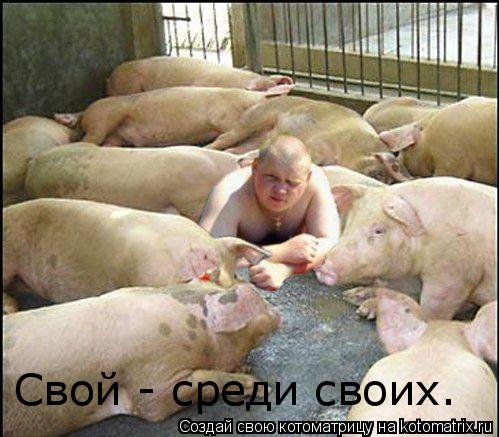 Котоматрица: Свой - среди своих.