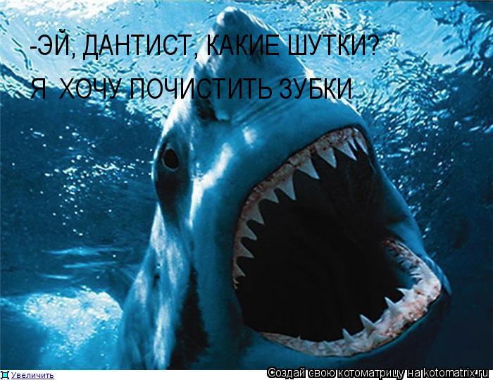 -ЭЙ, ДАНТИСТ, КАКИЕ ШУТКИ? Я ХОЧУ ПОЧИСТИТЬ ЗУБКИ... Котоматрица: -ЭЙ, ДАНТИСТ, КАКИЕ ШУТКИ? Я ХОЧУ ПОЧИСТИТЬ ЗУБКИ