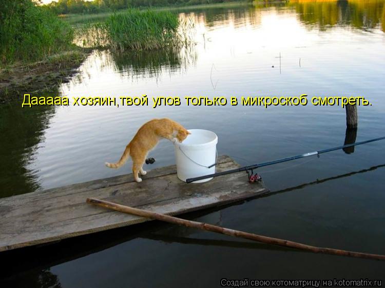 Дааааа хозяин,твой улов только в микроскоб смотреть.... Котоматрица: Дааааа хозяин,твой улов только в микроскоб смотреть.