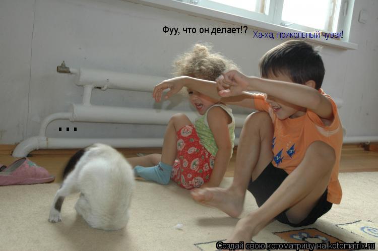 Фуу, что он делает!? Ха-ха, прикольный чувак! ...... Котоматрица: Фуу, что он делает!? Ха-ха, прикольный чувак! ...