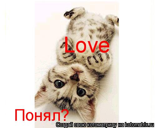 Love Понял?... Котоматрица: Love Понял?