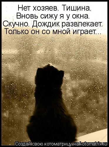 Котоматрица: Нет хозяев. Тишина. Вновь сижу я у окна. Скучно. Дождик развлекает. Только он со мной играет...
