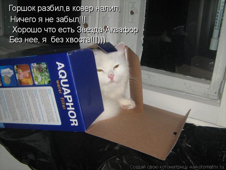 Горшок разбил,в ковер налил, Ничего я не забыл!!! Хорошо что есть Звезда-Аквафор Без нее, я без хвос... Котоматрица: Горшок разбил,в ковер налил, Ничего я не забыл!!! Хорошо что есть Звезда-Аквафор Без нее, я без хвоста!!!)))
