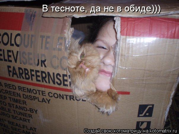 В тесноте, да не в обиде)))... Котоматрица: В тесноте, да не в обиде)))