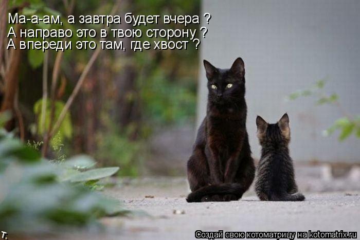 Ма-а-ам, а завтра будет вчера ? А направо это в твою сторону ? А впереди это там, где хвост ?... Котоматрица: Ма-а-ам, а завтра будет вчера ? А направо это в твою сторону ? А впереди это там, где хвост ?