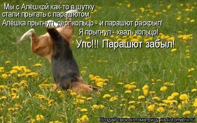 Котоматрица: Мы с Алёшкой как-то в шутку стали прыгать с парашютом. Алёшка прыгнул, дёрг кольцо - и парашют раскрыл! Я прыгнул - хвать кольцо! Упс!!! Парашют 
