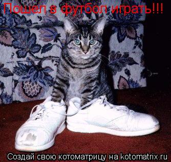 Котоматрица: Пошел в футбол играть!!!