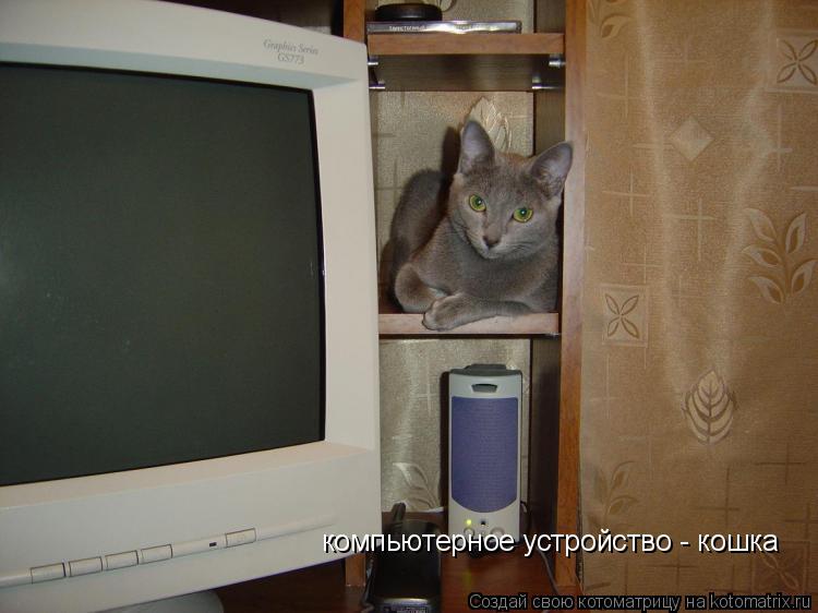 Котоматрица: компьютерное устройство - кошка