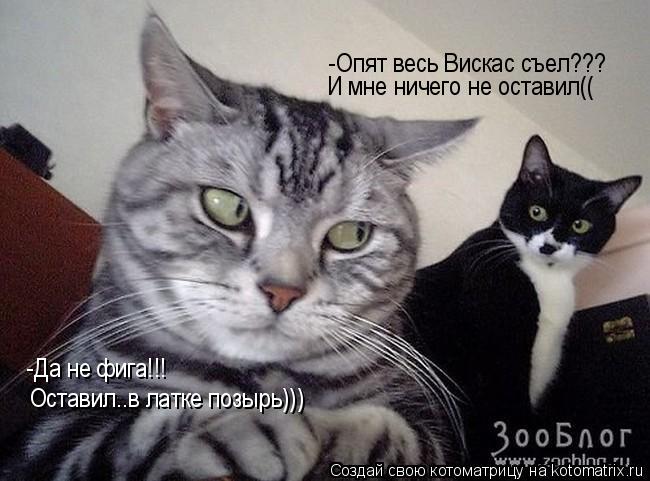 Котоматрица: -Опят весь Вискас съел??? И мне ничего не оставил(( -Да не фига!!! Оставил..в латке позырь)))