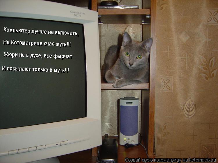 Котоматрица: Компьютер лучше не включать, На Котоматрице счас жуть!!! Жюри не в духе, всё фырчат И посылают только в муть!!!