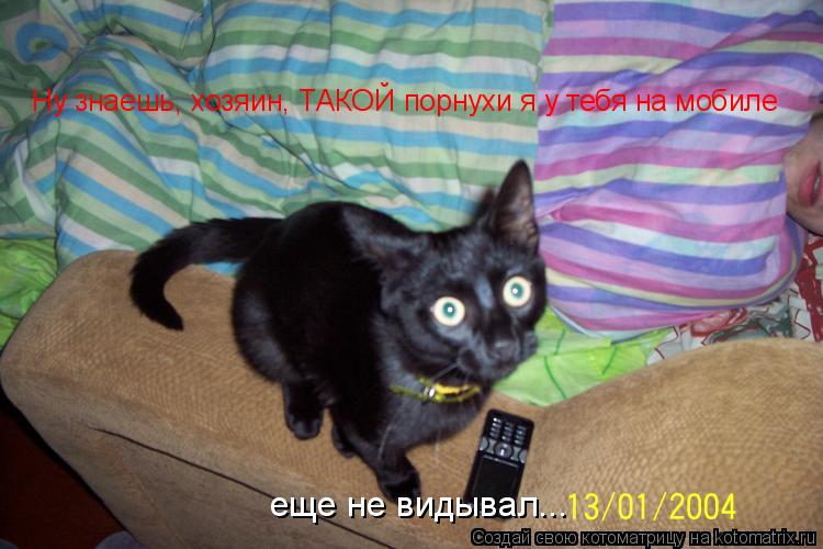 Котоматрица: Ну знаешь, хозяин, ТАКОЙ порнухи я у тебя на мобиле еще не видывал...