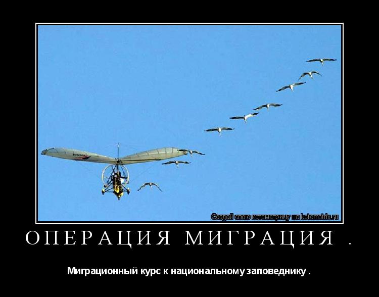 Операция миграция . Миграционный курс к национальному заповеднику .... Котоматрица: Операция миграция . Миграционный курс к национальному заповеднику .
