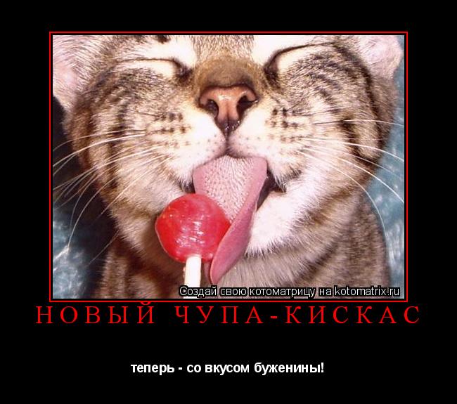 Котоматрица: Новый Чупа-Кискас теперь - со вкусом буженины!