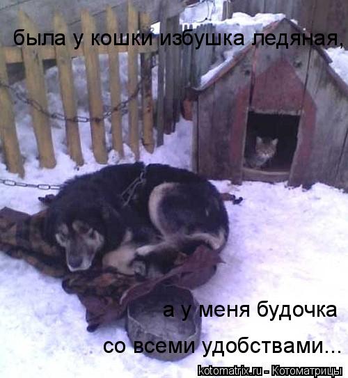 Котоматрица: была у кошки избушка ледяная, а у меня будочка  со всеми удобствами...