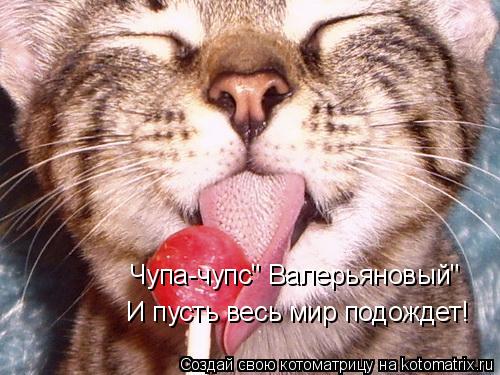 Котоматрица: Чупа-чупс" Валерьяновый"  И пусть весь мир подождет!