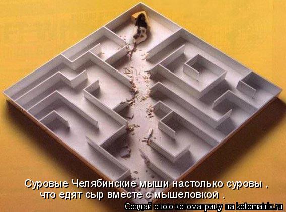 Котоматрица: Суровые Челябинские мыши настолько суровы , что едят сыр вместе с мышеловкой .